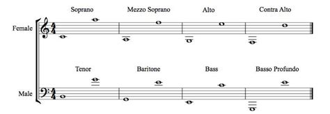 #DidYouKnow?: In the operatic systems there are six basic voice types ...