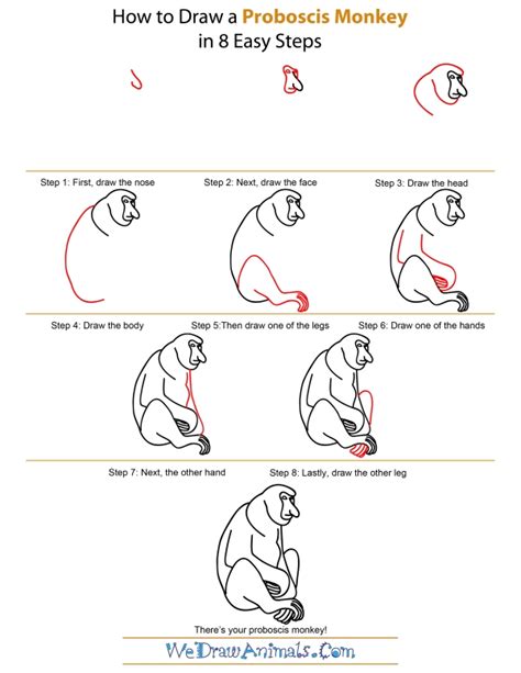 How to Draw a Proboscis Monkey