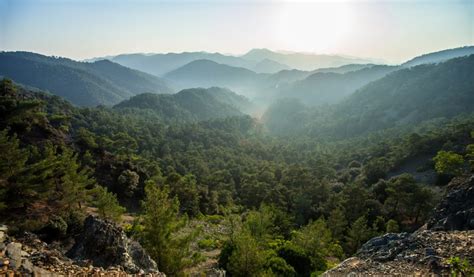 Exploring the Troodos Mountains: 5 Key Areas to Discover