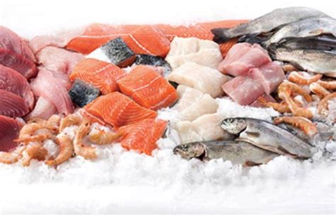 We Are Suppliers Of Seafood, Frozen Food And Poultry Products - Adverts ...