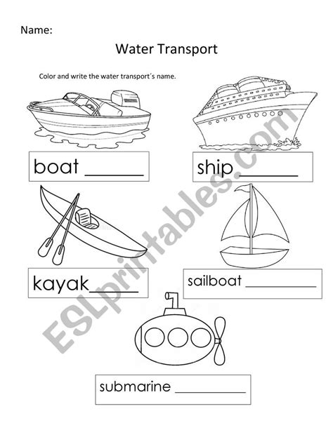 name of water transport turtle diary worksheet - water transport ...