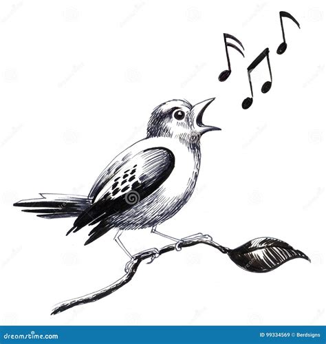 Singing bird stock illustration. Illustration of black - 99334569