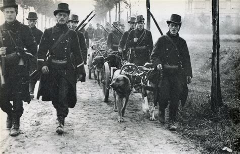 Belgian troops during German invasion 1914 : r/MilitaryFans