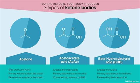 three types of ketone bodies in 2020 | Ketones, Ketosis, Health site