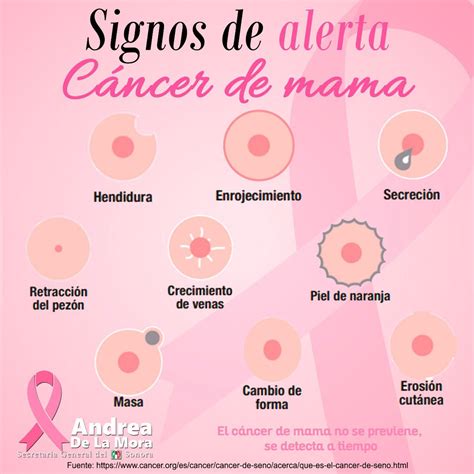 Senales De Cancer De Mama - SEO POSITIVO