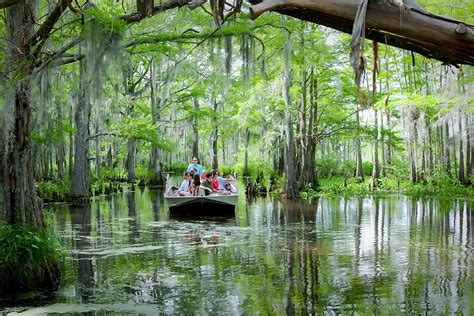 Cajun Encounters Swamp Tour Pick Up New Orleans Swamp Tours Livery ...