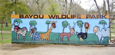 Life By The Pool. . .it's just BETTER!: Bayou Wildlife Zoo