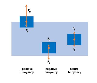 Buoyancy Diagram For Kids