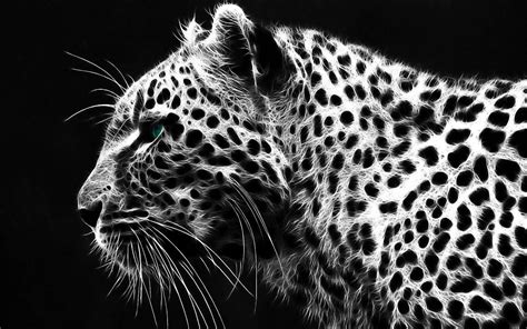 Cheetah Print Wallpapers - Top Free Cheetah Print Backgrounds ...