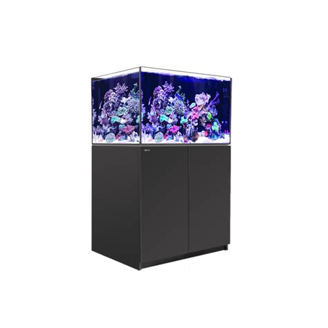 Red Sea Reefer XL 300 80Gal Black - Fish Gallery