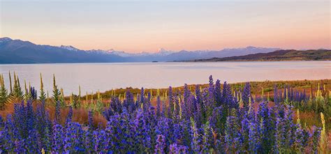 Top Photo Spots at Lake Pukaki Viewpoint in 2023