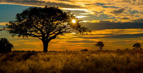 Bespoke Safaris in the Okavango Delta, Botswana - Journeys by Design