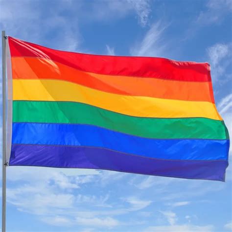 Gay pride flags and banners - vlerobravo