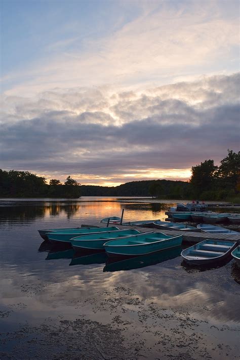 Lake,sunset,park,forest,water - free image from needpix.com