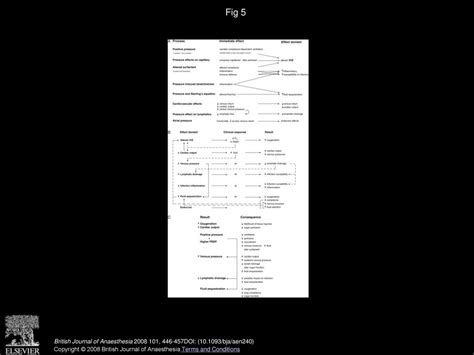 Positive pressure ventilation: what is the real cost? - ppt download