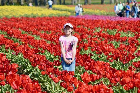 Top Oregon Flower Festivals and Gardens - Dinkum Tribe