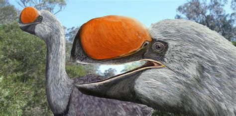 an artist's rendering of two birds with orange beaks