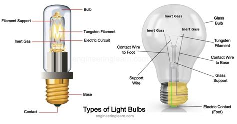 Light Bulb Technical Drawing