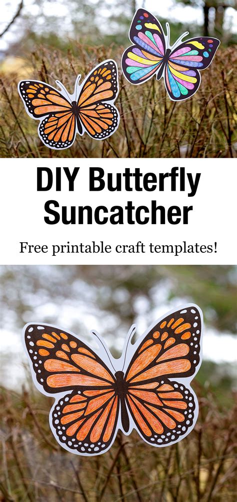 Butterfly Suncatcher Craft | Suncatcher craft, Insect crafts, Free ...