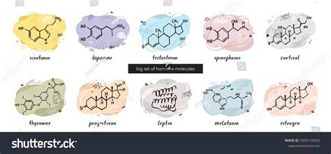 A hormone : 103 520 images, photos et images vectorielles de stock ...