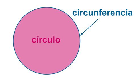 Qué diferencia hay entre círculo y circunferencia | Cómo