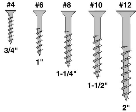 A guide to wood screw sizes | Wood screws, Screws, Nails and screws