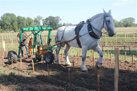 Demonstration of new agricultural implements specially designed for ...