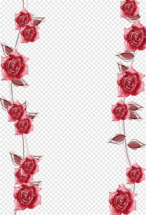 Ilustración de flores rosas rojas, fondo de frontera de rosas rosadas ...