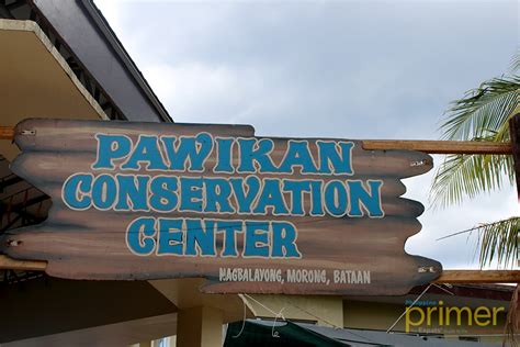 Pawikan Conservation Center in Bataan | Philippine Primer