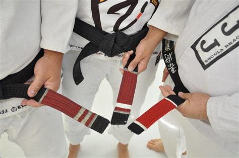 BJJ Belt Progression And Ranks: A Roadmap - BJJ World