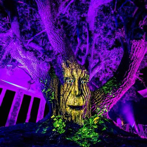 NightGarden Miami Experience: El mágico espectáculo de luces