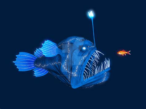 Anglerfish by AbilioFernandez on DeviantArt