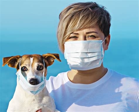 Can Pets Contract Coronavirus | Whitworth Animal Clinic