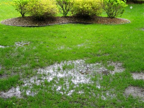 6 Backyard Flooding Solutions for Landscaping a Storm-Proof Yard ...