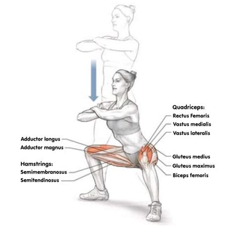 Wide Stance Squats Guide: Muscles Worked, How-To, Tips, and Variations ...