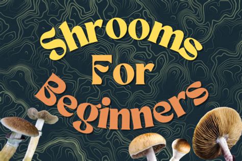 Shrooms For Beginners - What You Need to Know - mamadose