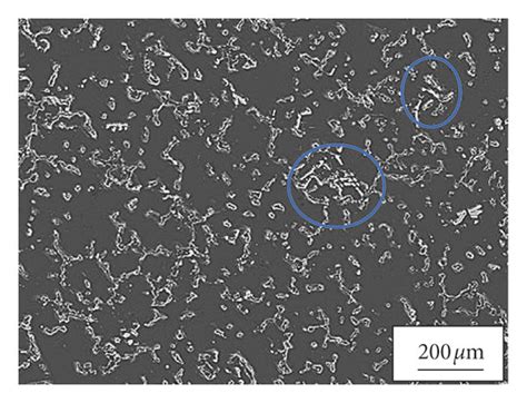 Photos of AZ91D magnesium alloy and Cu-SiCp/AZ91D magnesium matrix ...