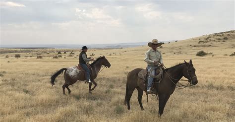 Vaquero – VAQUERO ONTARIO