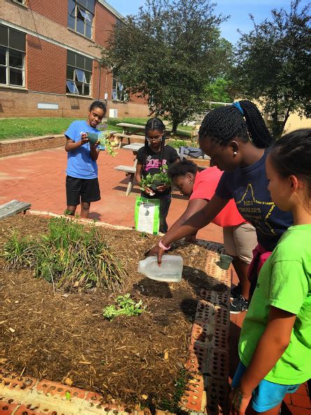 Sharing Our Guilford County School Gardens: Kiser Middle School shares ...