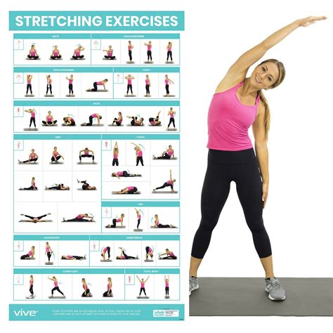 Printable Stretching Exercises