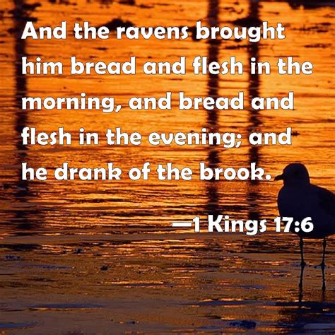 1 Kings 17:6 And the ravens brought him bread and flesh in the morning ...