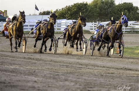 Harness Racing - The Facts! - Tir Prince Amusement Park