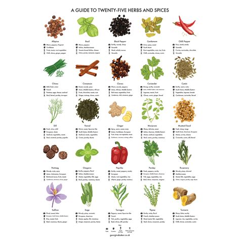 Herbs and Spices Guide Poster A4/A3/A2 Kitchen Print, Food Wall Art ...