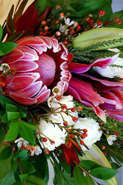 A large protea in the center of a holiday arrangement. Protea is always ...