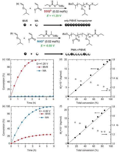 (a) Selective cationic polymerization of IBVE monomer in the presence ...