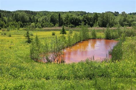 Can Tailings Ever Be Reused?