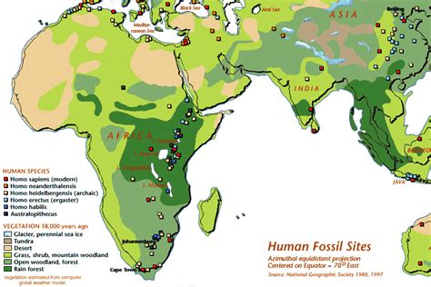 Fossil evidence for AAT