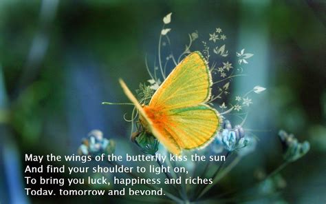 Butterfly And Hope Quotes. QuotesGram