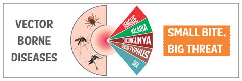 Essentials of Tropical Medicine and Diagnosis: Management of Vector ...