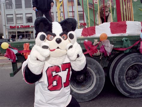 Rhett the Terrier, through the Years | BU Today | Boston University